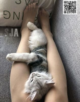 99人妻在线超碰_高清迅雷下载